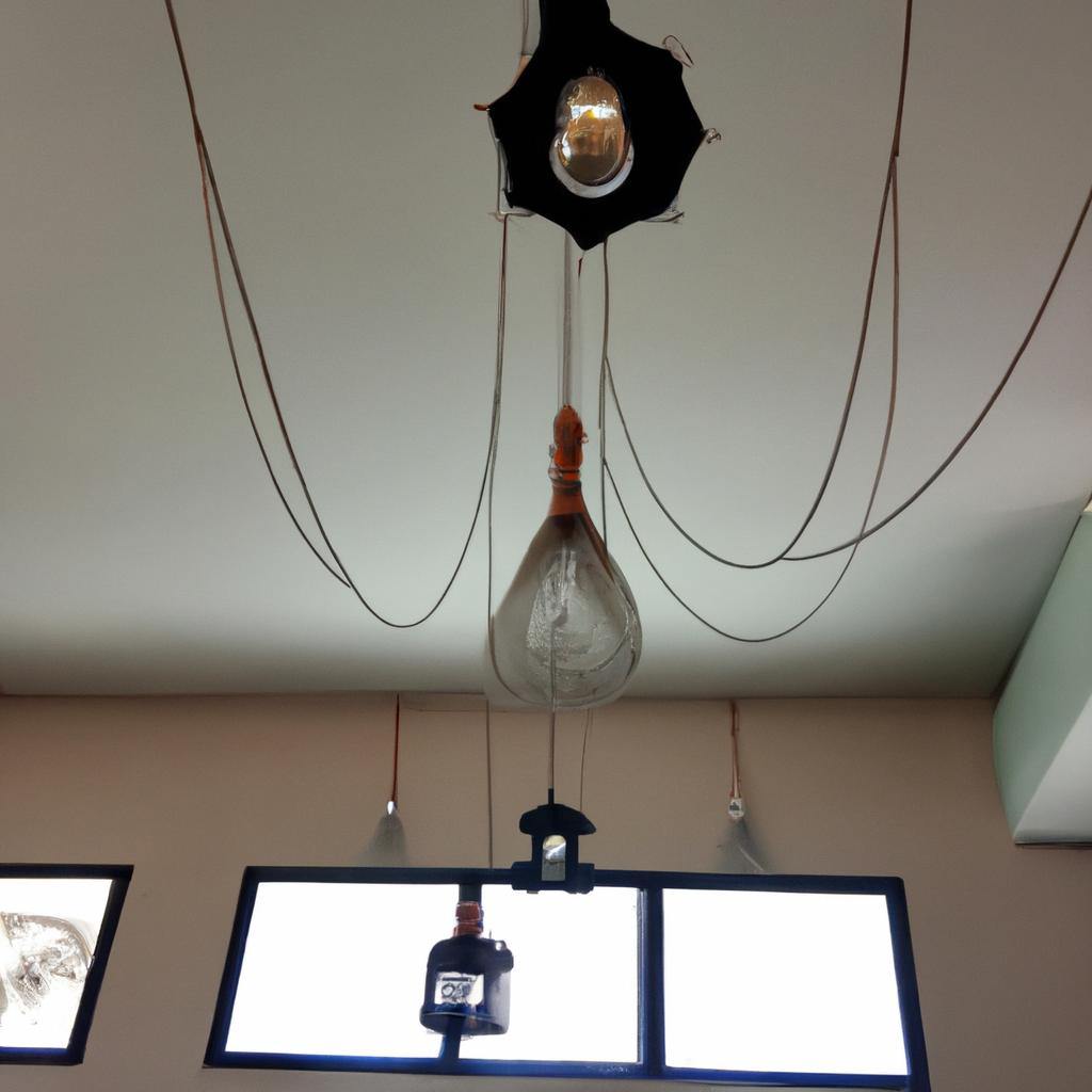 Trvalky do stínu: Krásné květiny pro tmavší kouty zahrady 2 Trvalky do stínu pro krásné kouty